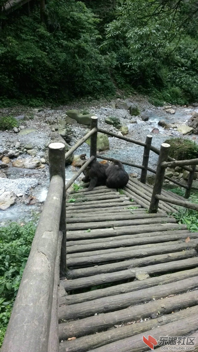 20140704_151957.jpg
