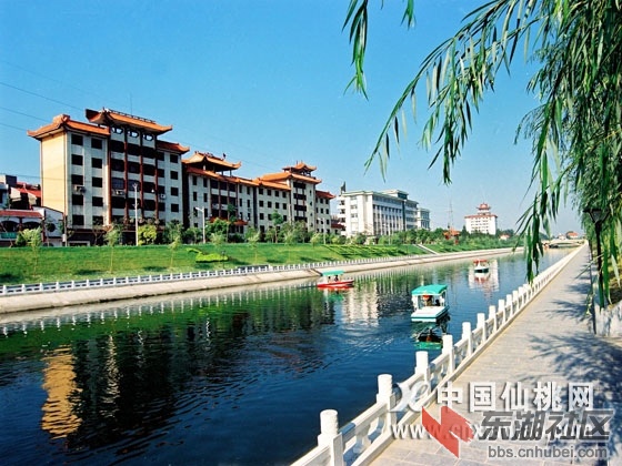 xxh200608257451235.jpg
