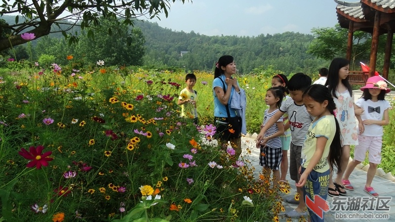 DSC04782_副本.jpg