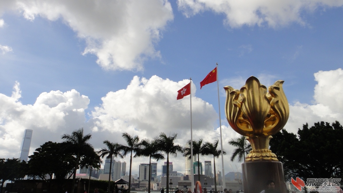 DSC08918.JPG