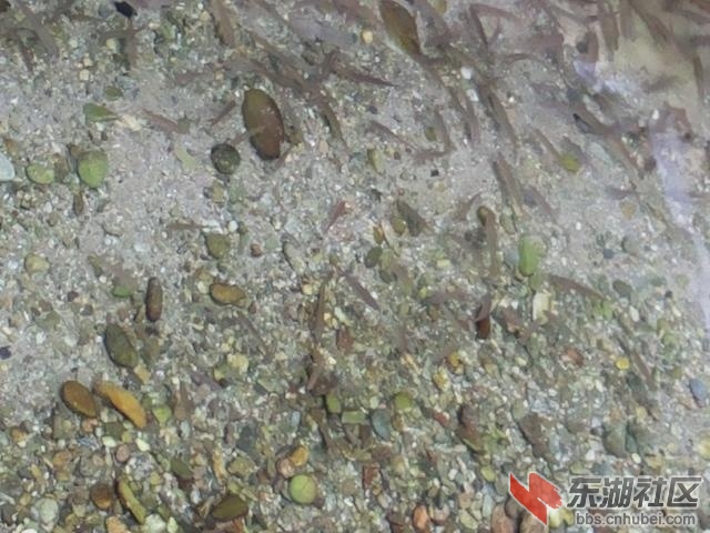 武柱峰景区
