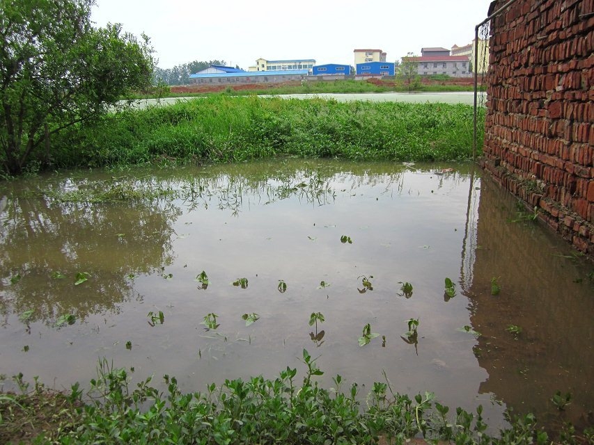 水6.jpg