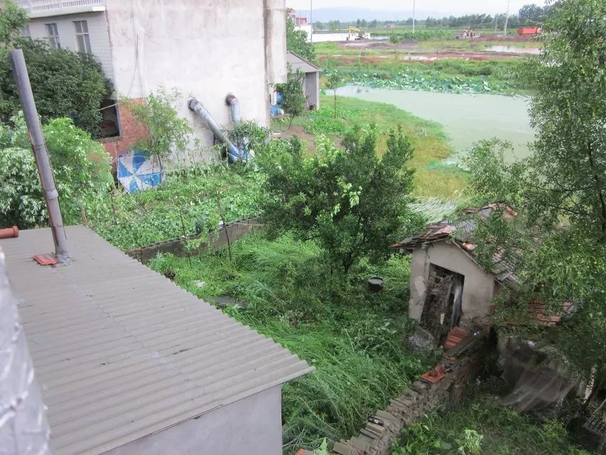 雨后2.jpg