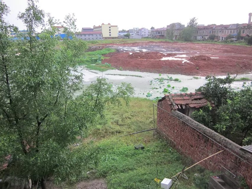 雨后4.jpg