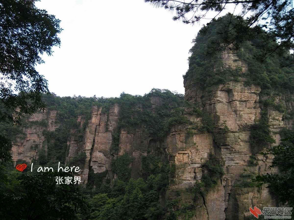 QQ图片20140714105855.jpg