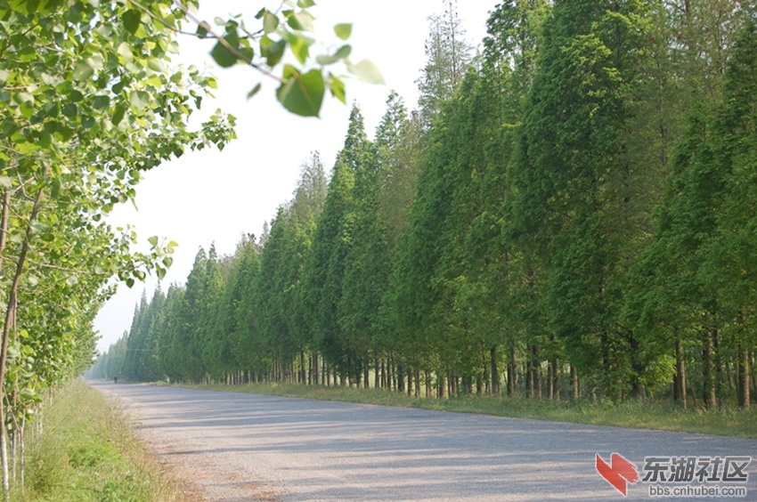 平坦的毛通公路