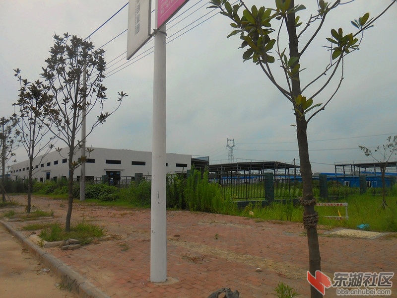 DSCN2166.JPG