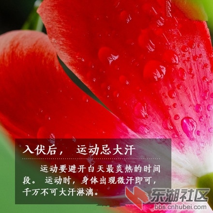 a716fd45jw1eifgtqk4ojj20c80c8jub_副本.jpg