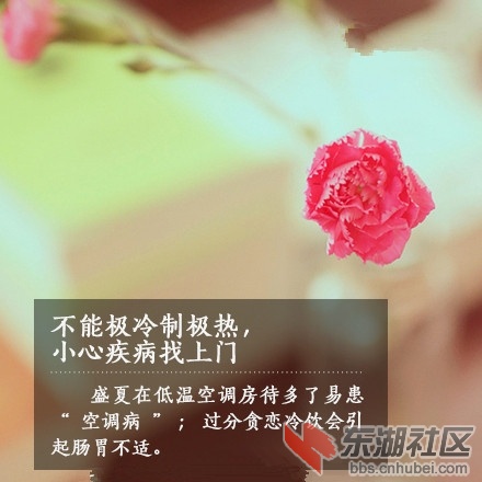 a716fd45jw1eifgtmcb8qj20c80c8tak_副本.jpg
