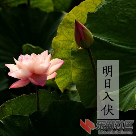 a716fd45jw1eifgtmj2bzj20c80c8wgj_副本.jpg