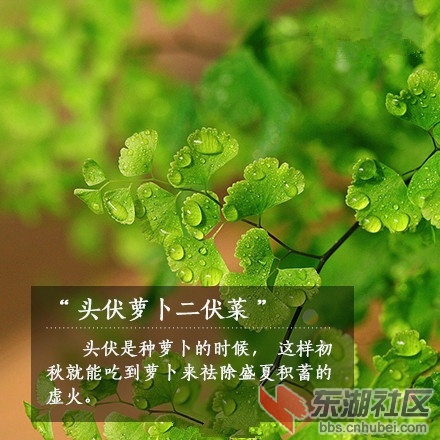 a716fd45jw1eifgtmwm20j20c80c8got_副本.jpg