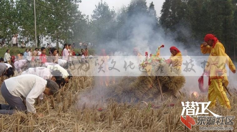 草把龙2.jpg