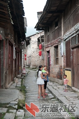 DSC_0988.jpg