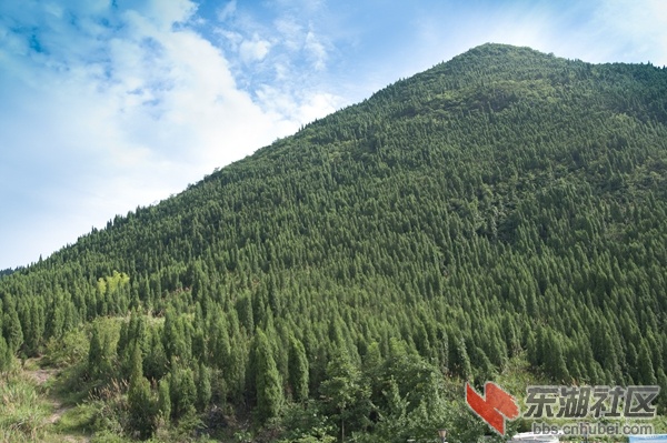 DSC_1046_副本.jpg