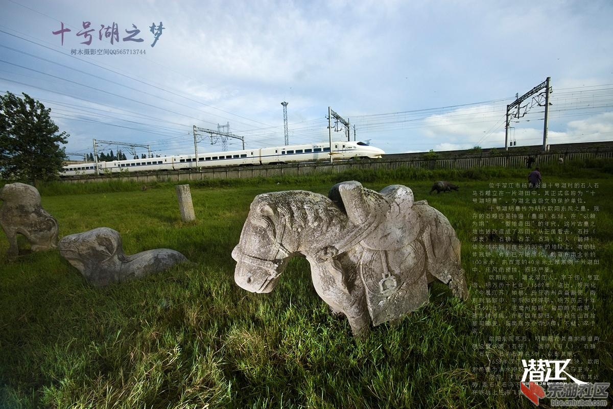 十号湖1.jpg