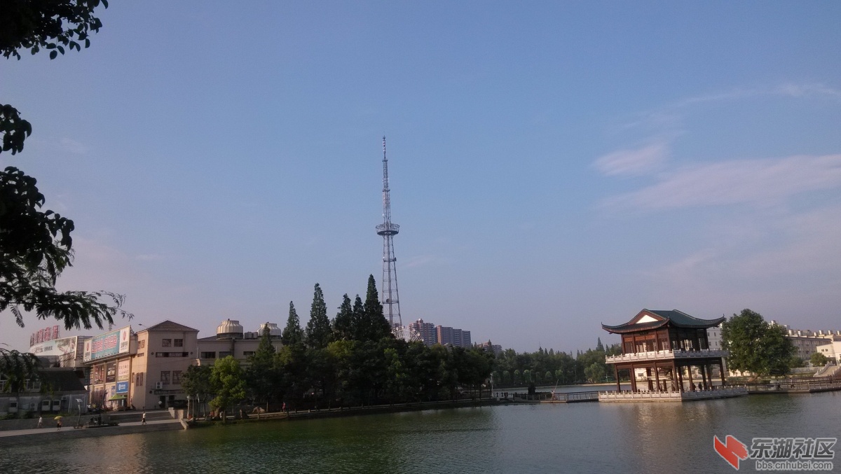 IMG_20140720_180444.jpg