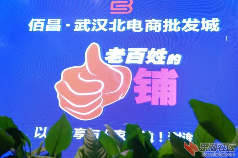 DSC00492_调整大小.JPG