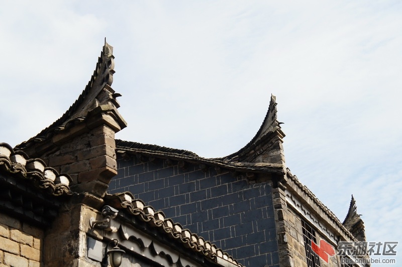 DSC00551_调整大小.JPG