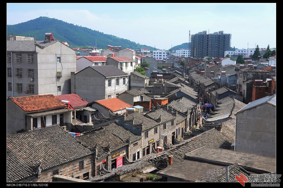 nEO_IMG_照片 024.jpg