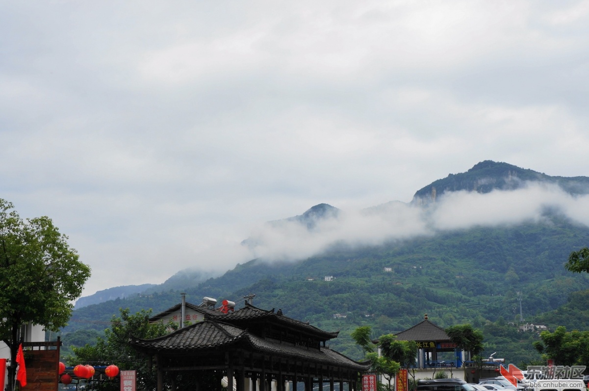 DSC02409.JPG