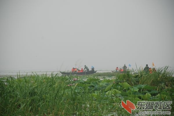 nEO_IMG_DSC_6339.jpg