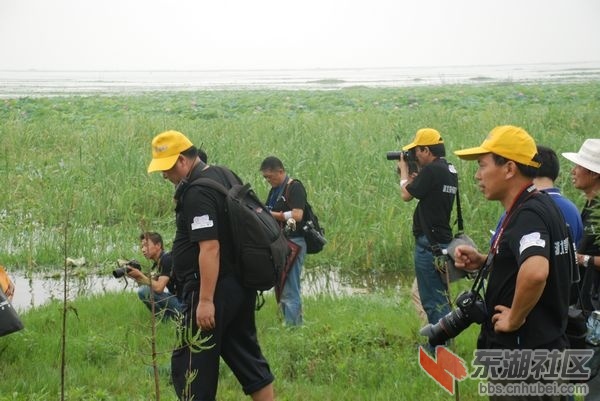 nEO_IMG_DSC_6373.jpg