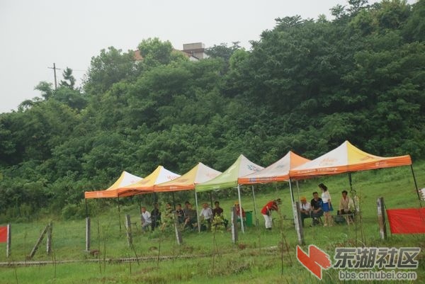 nEO_IMG_DSC_6375.jpg