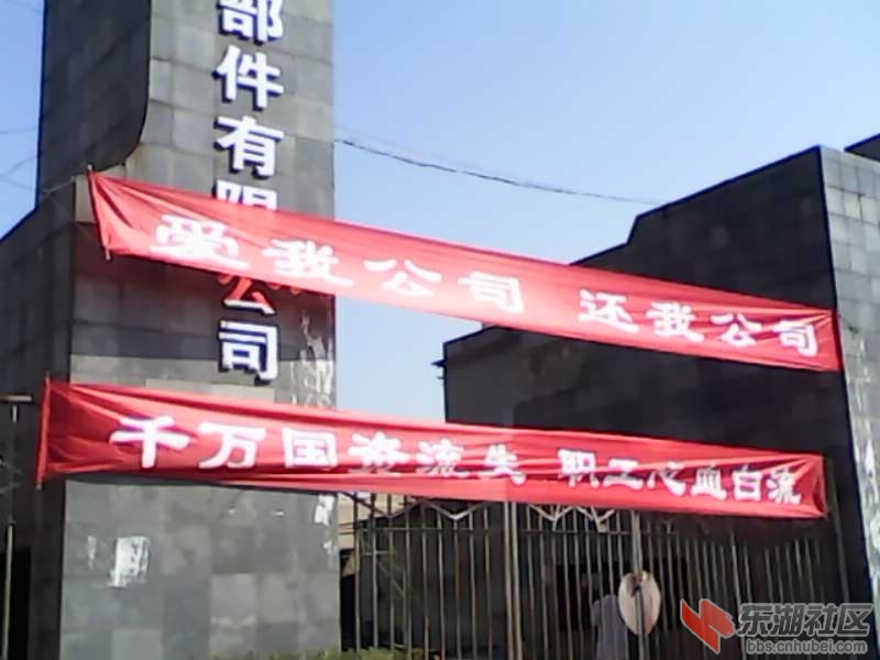 横幅2.jpg