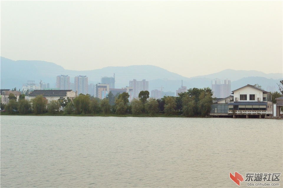 DSC_1515.jpg