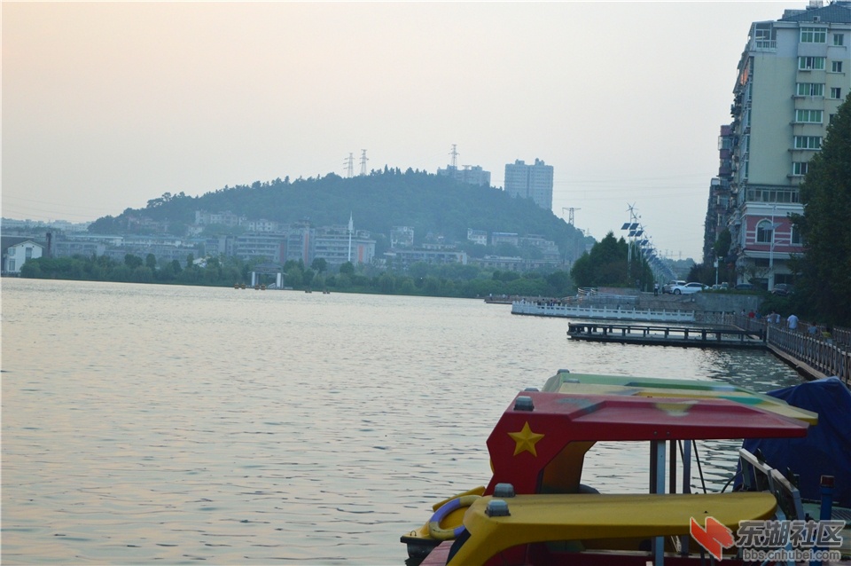 DSC_1544.jpg