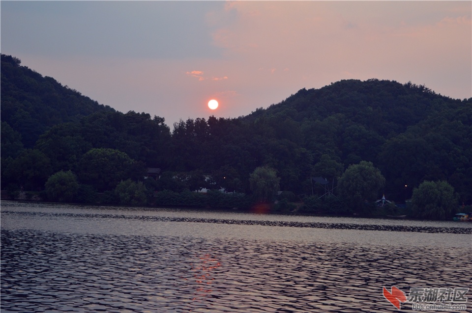 DSC_1568.jpg
