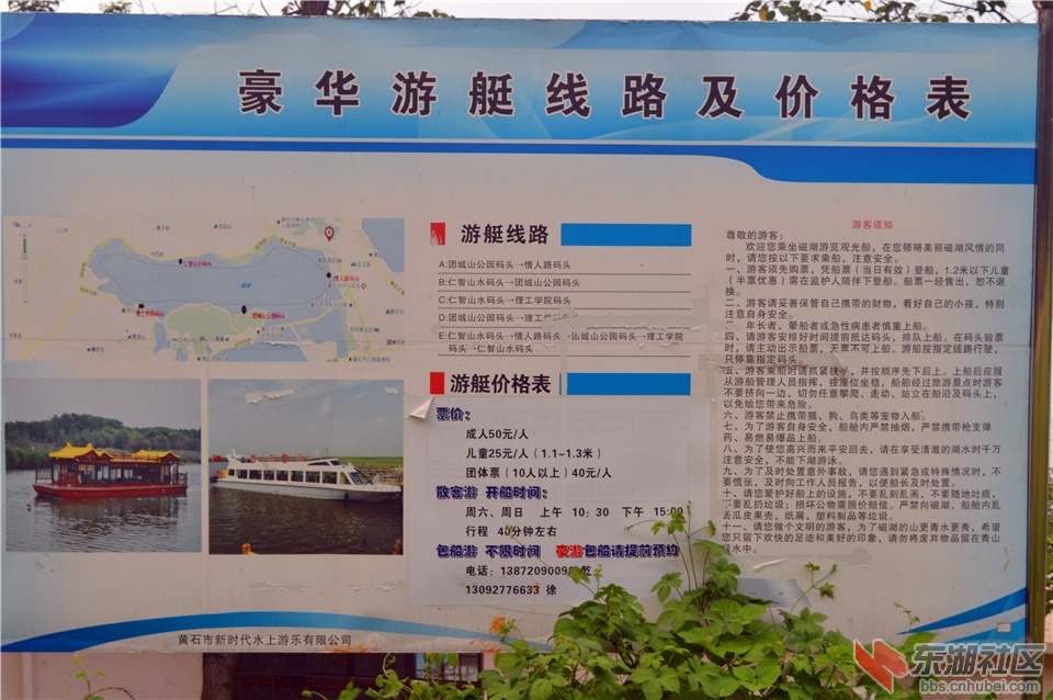 DSC_1618.jpg