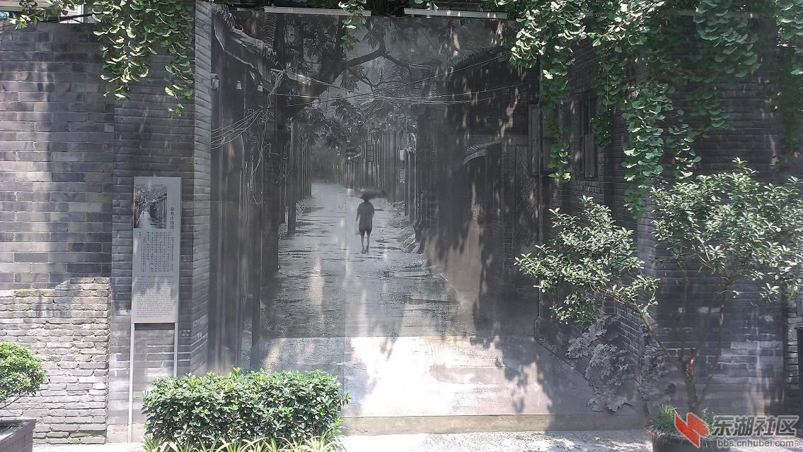 雨中.jpg