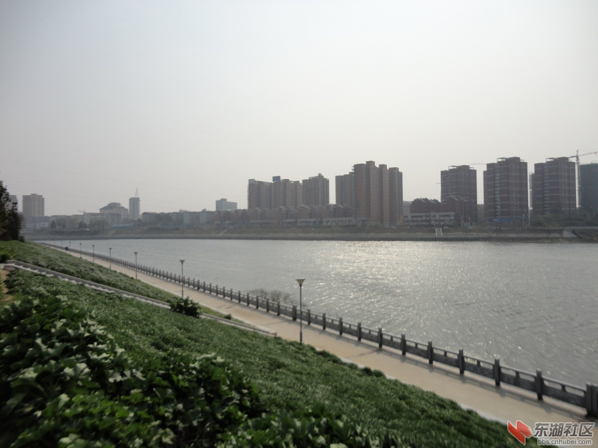 亲水平台.JPG