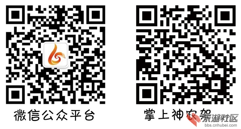二维码组合.jpg