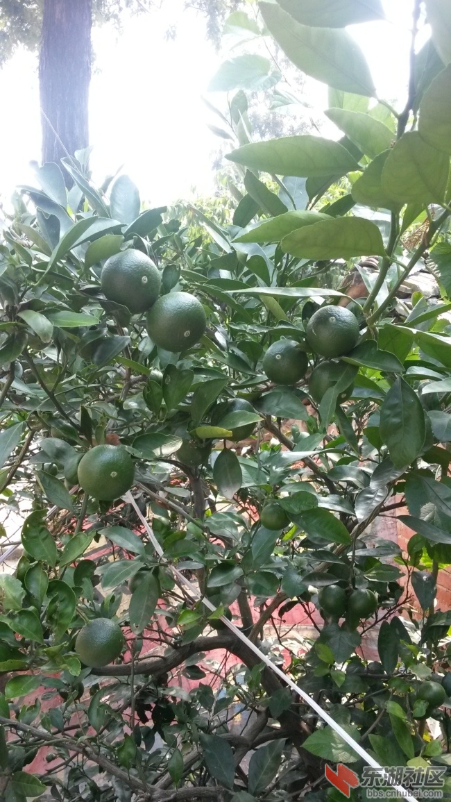 20140726_102041.jpg