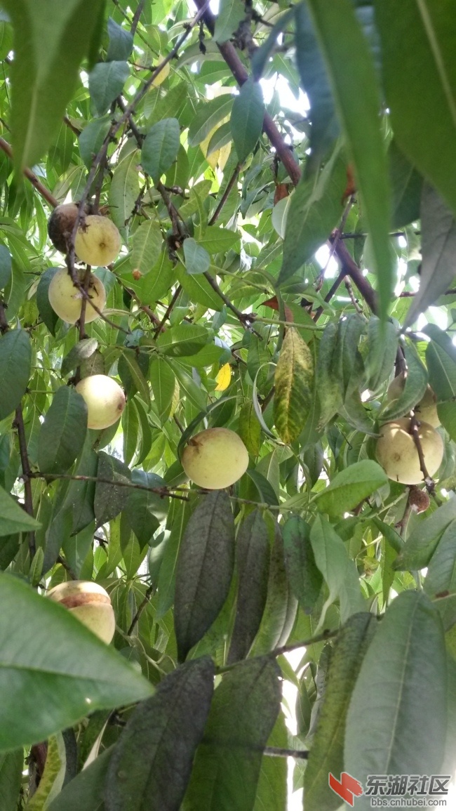 20140726_102127.jpg