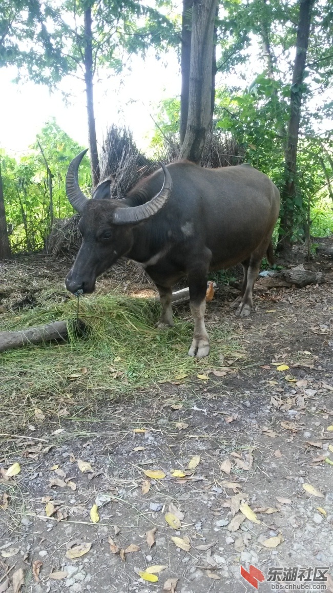 20140726_102300.jpg