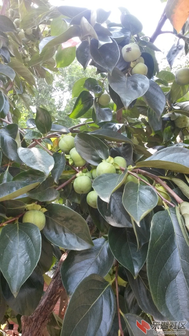 20140726_102351.jpg
