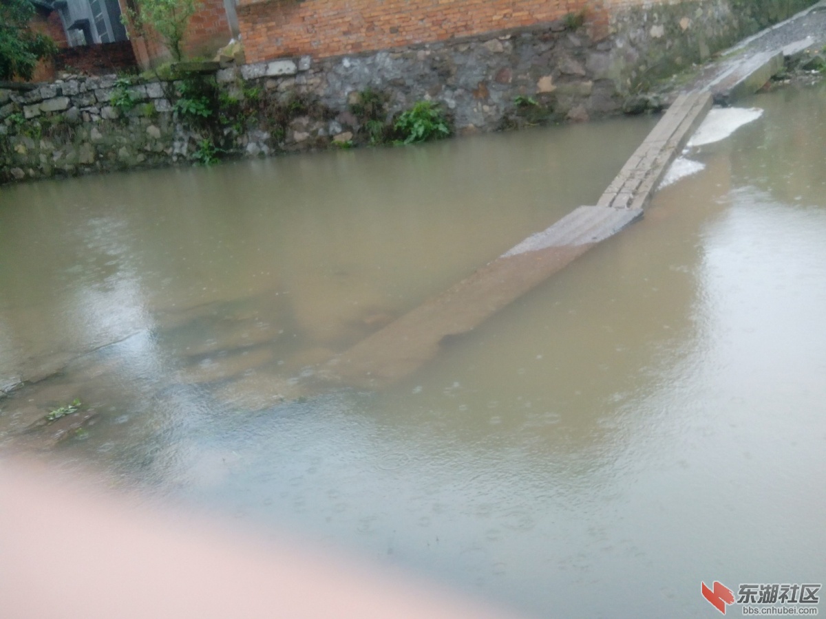 只要下点雨桥就被淹