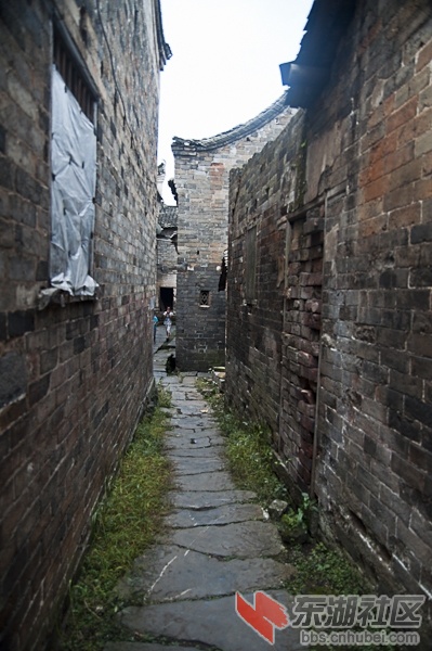 DSC_1415.jpg