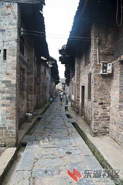 DSC_1423.jpg