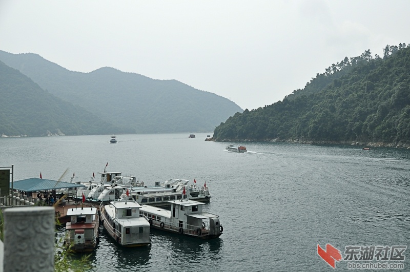 DSC_1235.jpg