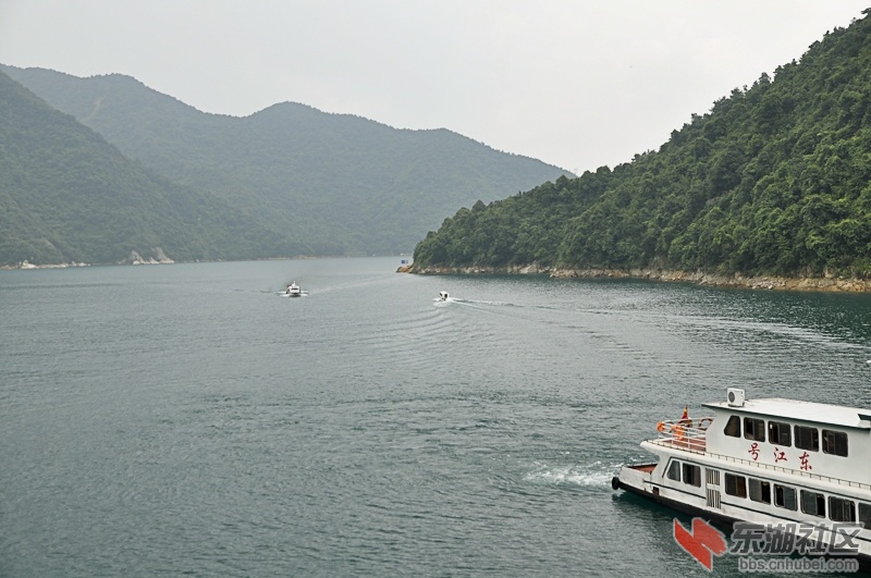 DSC_1257.jpg