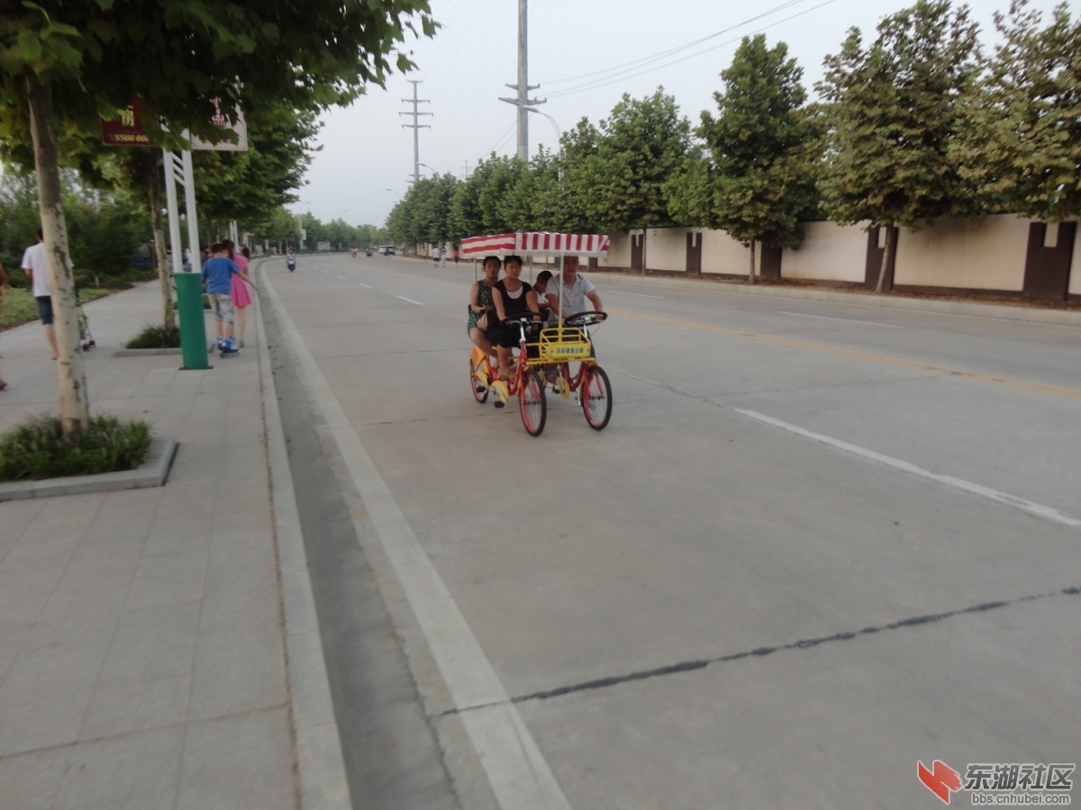 四轮自行车2.JPG