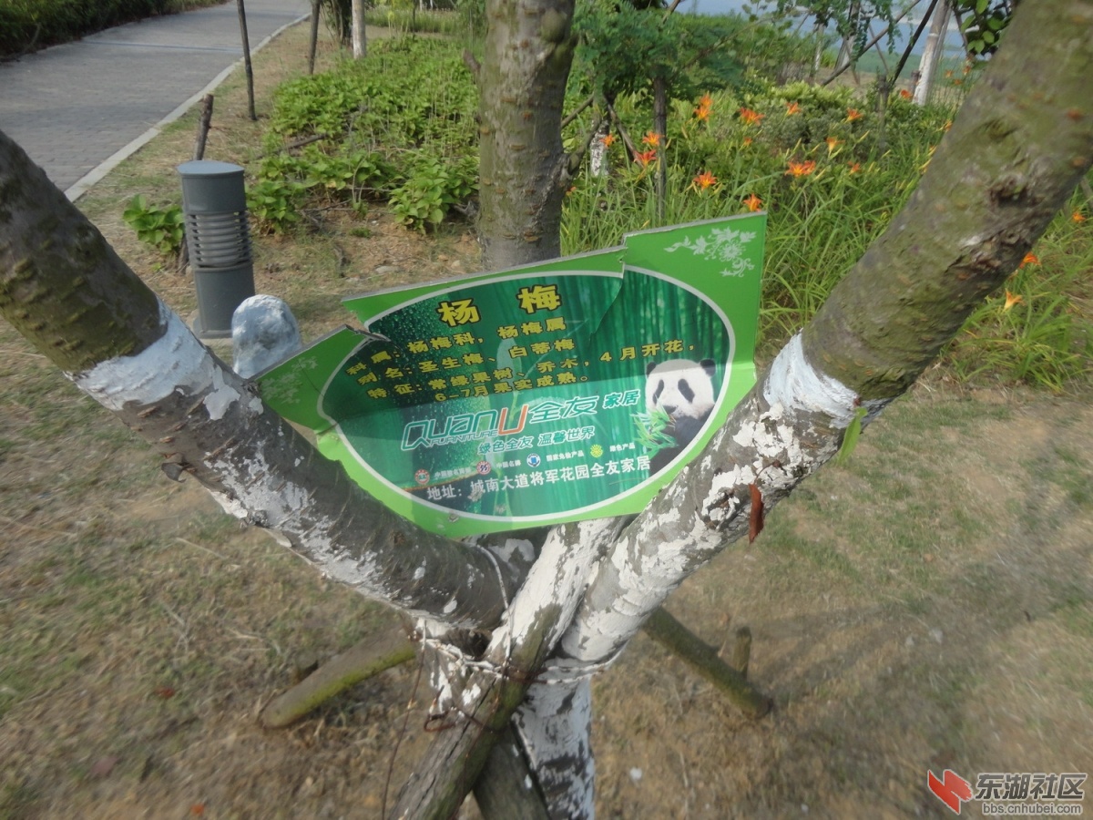 被破坏的树牌1.JPG