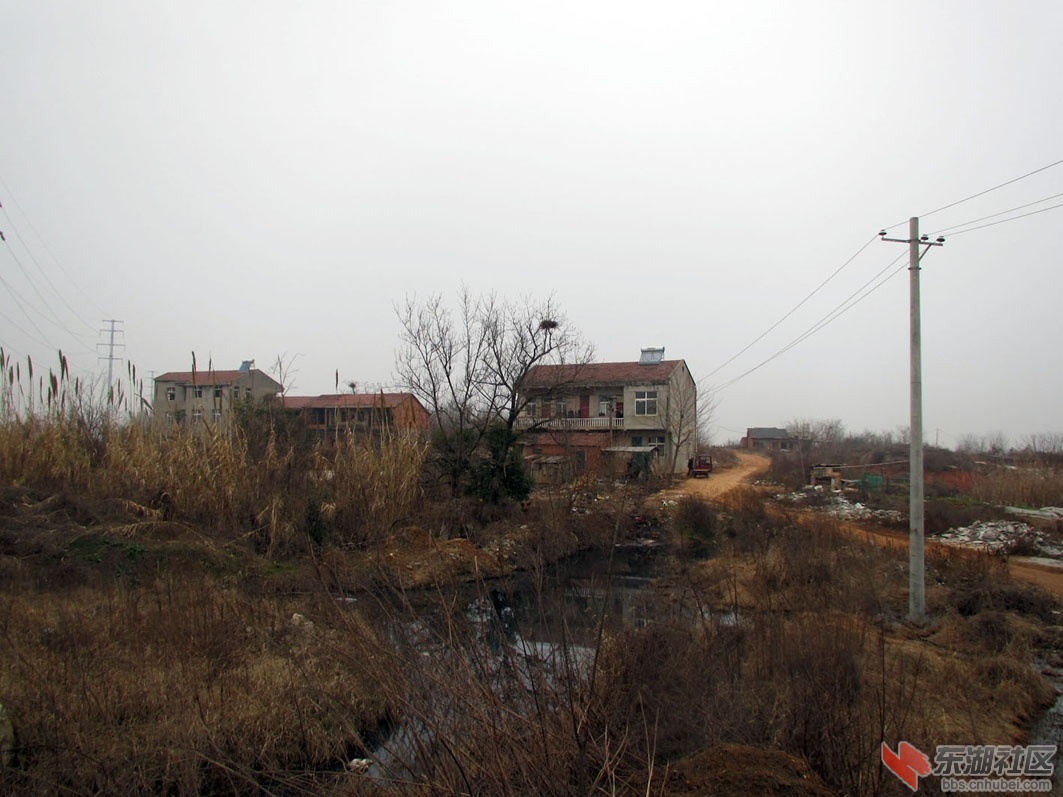 因建设农贸城牵涉到旁边村而有意被强拆.JPG