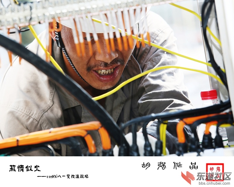 8G9B7921_副本.jpg