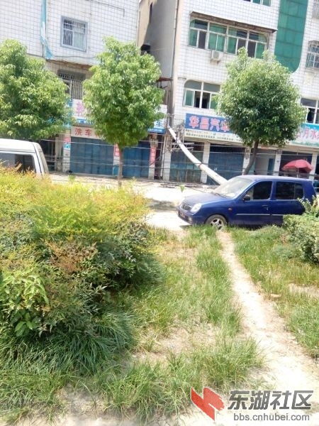 QQ图片20140731150606.jpg
