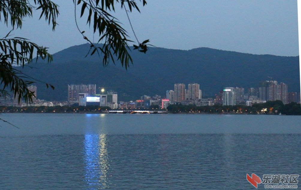 06.jpg